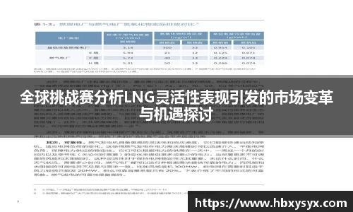 全球挑战赛分析LNG灵活性表现引发的市场变革与机遇探讨